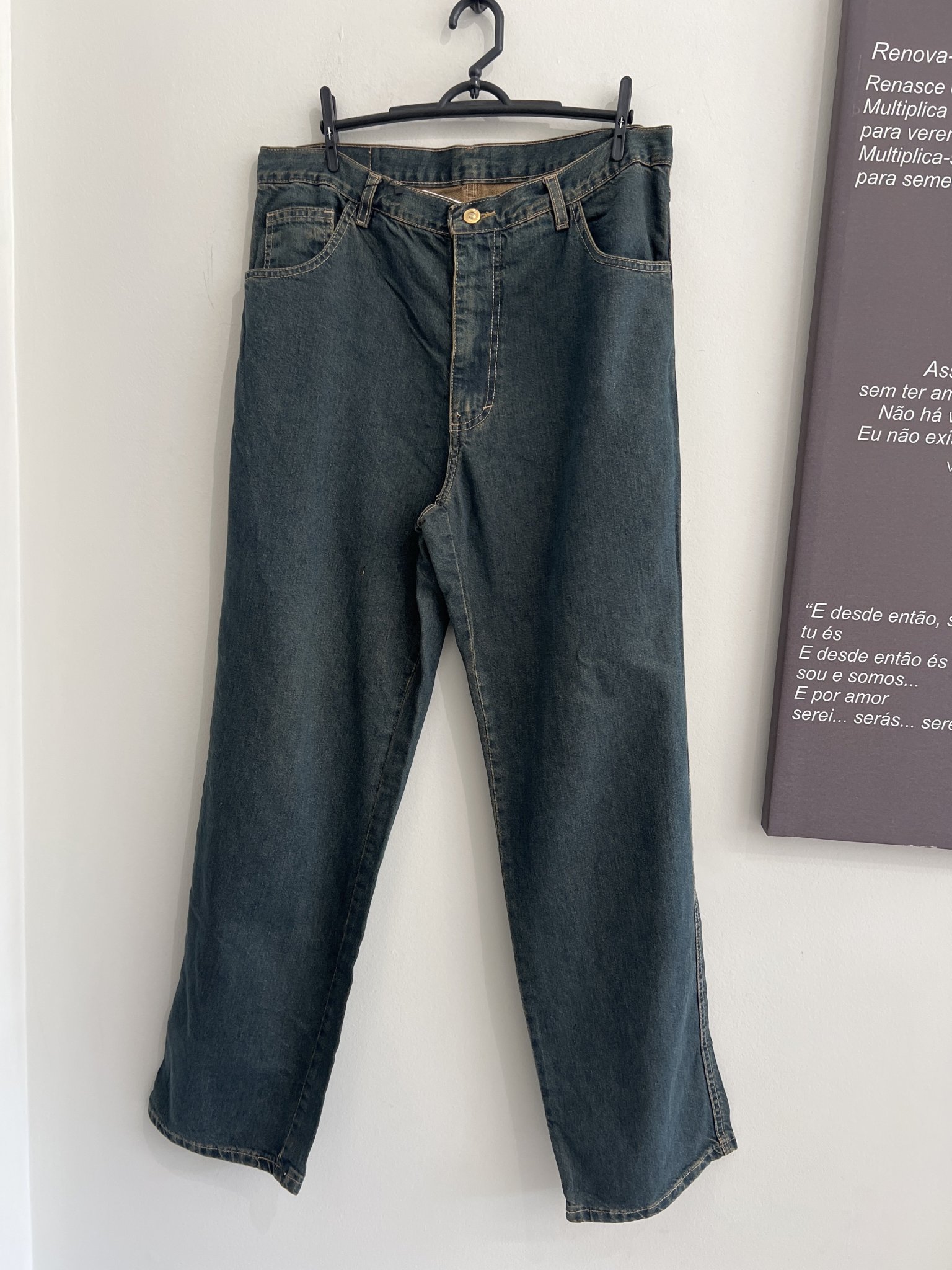 Calça jeans reta esverdeada Albany msc - 46 tamanho 46 - foto principal