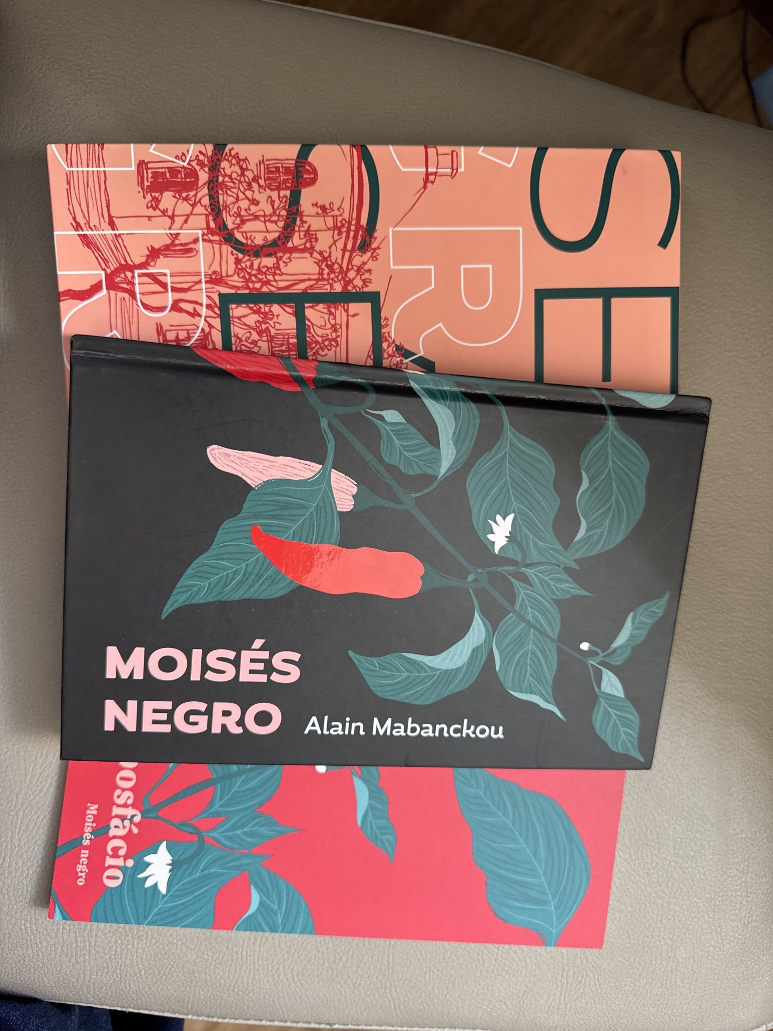 Livro Moisés Negro - Alain Mabanckou