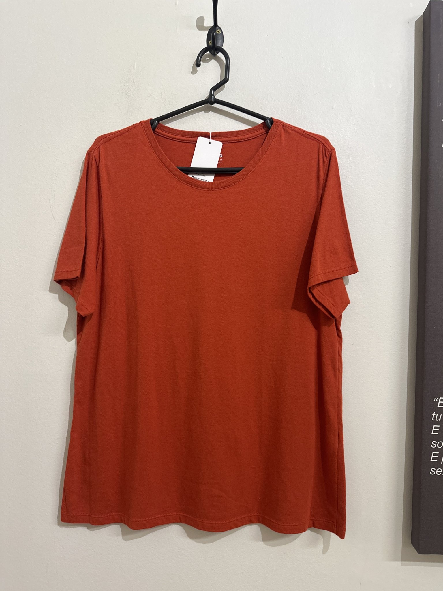 Blusa t-shirt vermelha m/curta Hering - GG