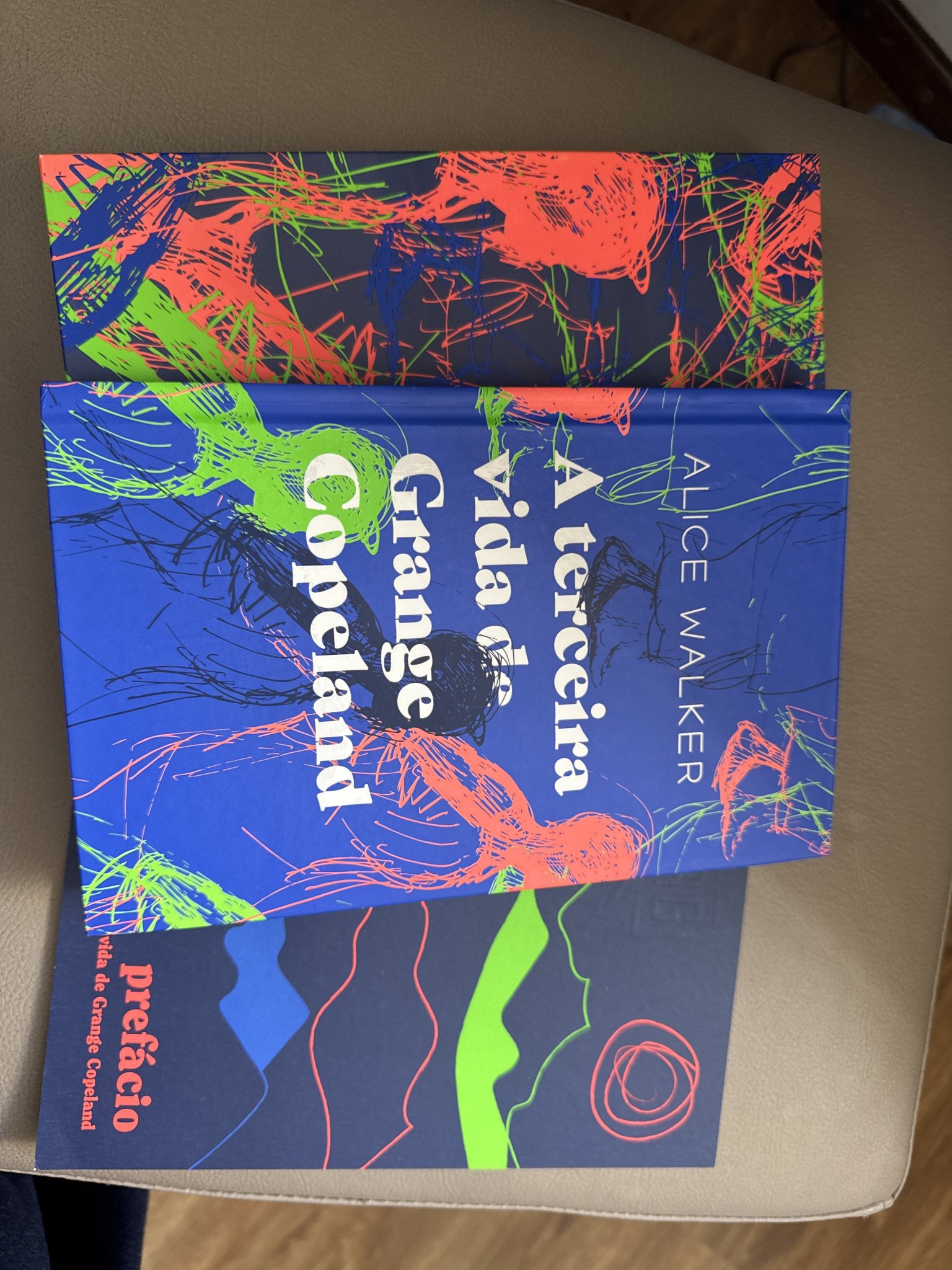 Livro A terceira vida de Grange Copeland - Alice Walker