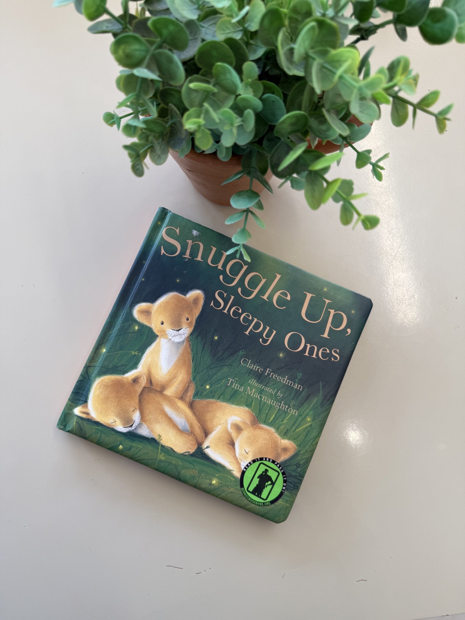 Livro Snuggle up, sleepy ones Turquesa, Azul, Verde - foto principal