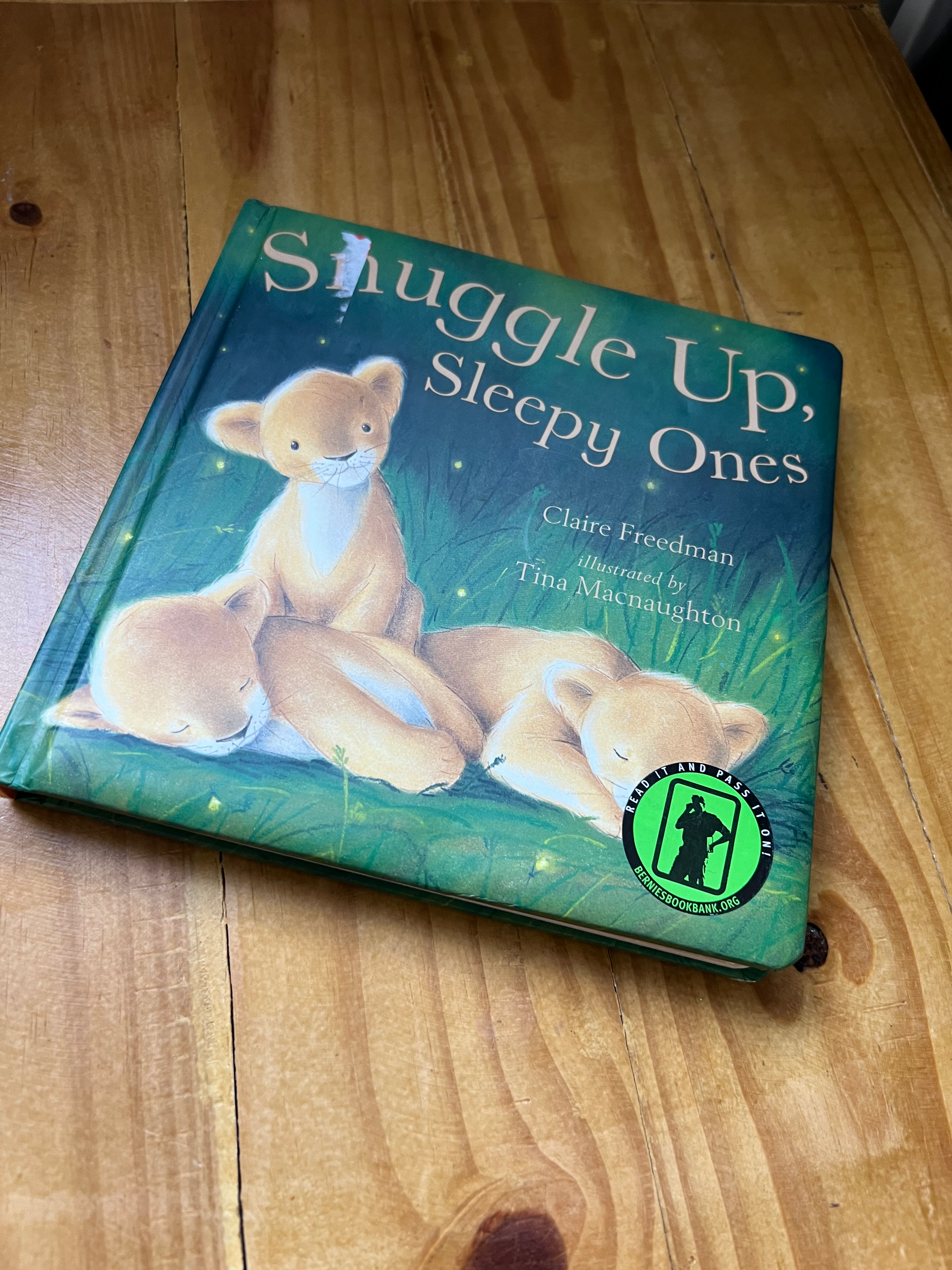 Livro Snuggle up, sleepy ones Sem marca Turquesa, Azul, Verde - 17101-1