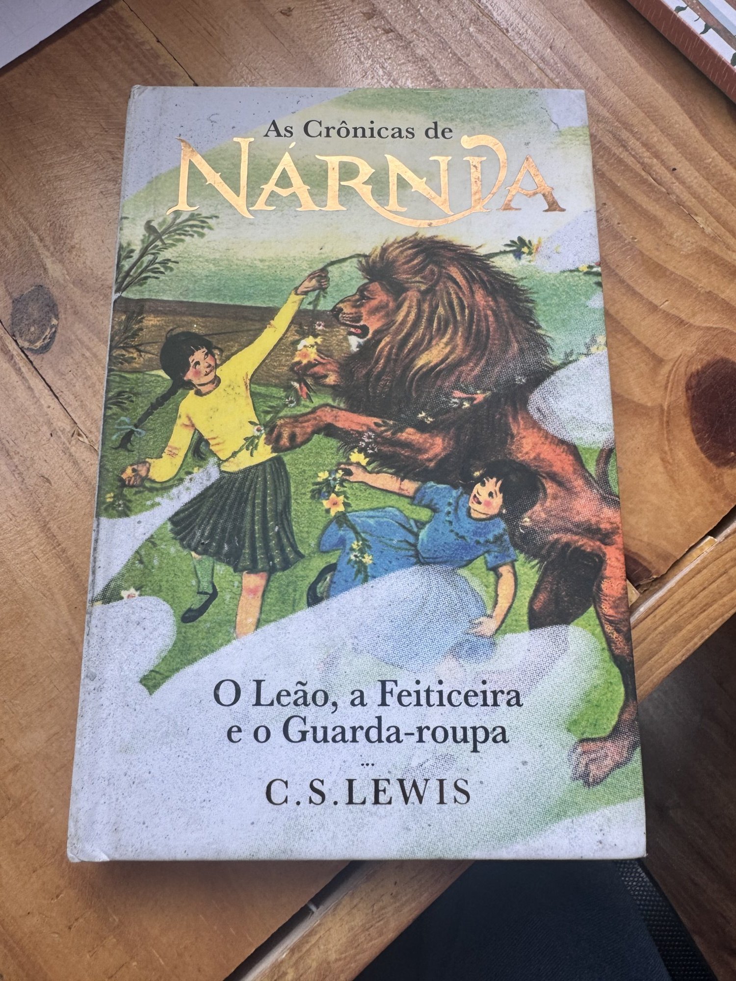 Livro As Crônicas de Nárnia - O Leão, a Feiticeira e o Guarda-roupa - C.S. Lewis Sem marca Azul, Verde - foto principal